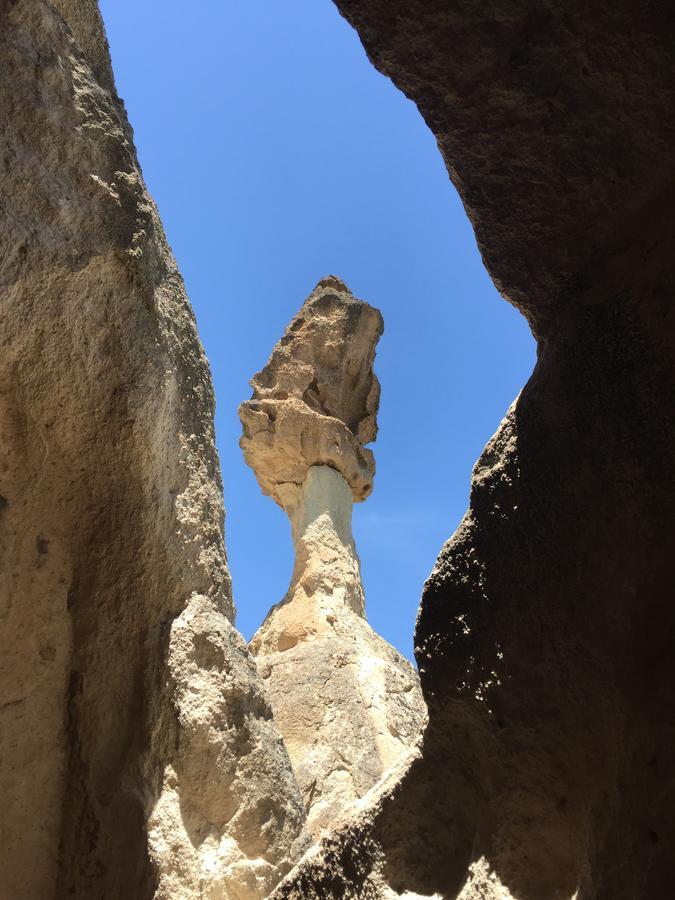 مبيت وإفطار غوريمِيه Cappadocian Special House (Adults Only) المظهر الخارجي الصورة